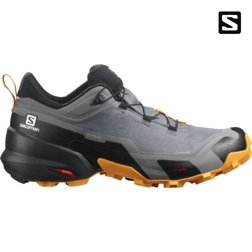 Grey Salomon Cross Hike GTX Men's Hiking Shoes | PH 47598N